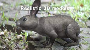 Unduh wildlife ar mod apk 1.0.8 dengan pembelian gratis. Wildlife Ar For Android Apk Download