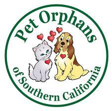 Plumfund's fundraising website allows anyone to raise money online for an animal or it's simple: Pet Adoption Fund Home Facebook