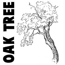 We did not find results for: How To Draw Trees And Oak Trees With Simple Steps Tutorial How To Draw Step By Step Drawing Tutorials