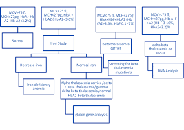 Flow Chart For Carrier Identification Of Beta Thalassemia