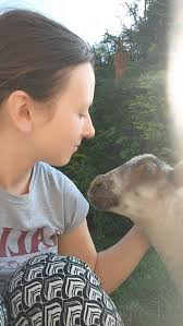 We built raised beds for our new tunnel, and are about to start seeding,  planting etc. What do people recommend for enriching the organic top soil  we have put in the beds?