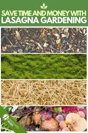 Save Time And Money With Lasagna Gardening Lasagna Gardening Organic Gardening Tips Gardening For Beginners