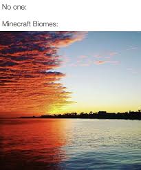 The Way The Colors Are Is So Aesthetically Pleasing In 2020 Pictures Funny Memes Stupid Memes