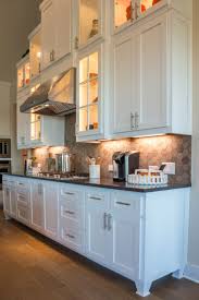 The carcass sits atop the frame and panel and is equal in dimension to the frame minus the thickness of the foot. Cabinet Feet Add High End Furniture Look Burrows Cabinets Central Texas Builder Direct Custom Cabinets