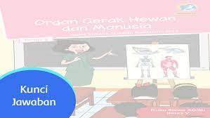 We did not find results for: Kunci Jawaban Tematik Kelas 5 Sanjayaops