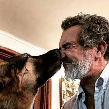 O Que E Feito De Roca A Cadela De Rogerio Samora Saiba Com Quem Esta A Caopanheira Que Sofre Com Saudades Do Dono Celebridades Flash
