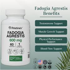 Image result for Fadogia