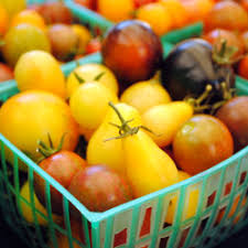 This is the number of days from setting out your transplants to the harvest or maturity date. The Great Tomato Debate Cuesa