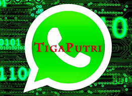 Solusi bisnis pulsa murah zaman now bersama java pulsa dengan harga pulsa termurah cocok dijual bahkan diagenkan lagi, buruan ayo daftar jadi master dealer. Tiga Putri Software Server Pulsa Support Ppob