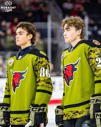 Image result for Ochna hackarsii