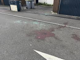 Drame à Dijon: Père de famille décède après une fusillade! - Imagen principal del artículo
