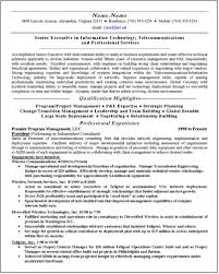 Free It Resume Sample Template
