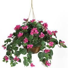 But because the hobby lobby faux leather ribbon comes in an array of beautiful colors, i really wanted to see if i could make it work. Buy Fake Plants Online 13 Stores With The Best Faux Greenery Architectural Digest