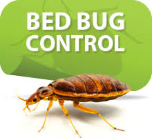 Phone our indianapolis pest & bed bug experts. Bed Bug Control Exterminator In Indiana 99 Pest Control