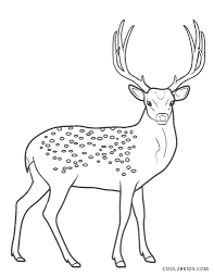 Almost files can be used for commercial. Free Printable Deer Coloring Pages For Kids Cool2bkids