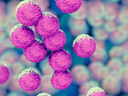 Mrsa germs can get into a skin injury, such as a cut, bite, burn or scrape. Ungeahntes Risiko Mrsa Verdoppeln Fruhzeitiges Sterberisiko Heilpraxis