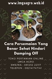 Secara amnya, baja ini tergolong dalam kategori baja kimia. Cara Membuat Kapur Dolomit Sendiri Kumpulan Cara Terbaru 2021