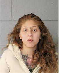 ᐅ Illinois Criminal Records 2009-2025