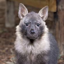 Nora Rose Jean porn onlyfans - Kandi is just... wow!