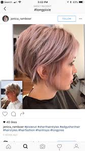 Susan Ripplinger (susanripplinger)