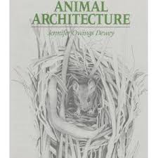 Journal Book Animal Architecture Jennifer Dewey Architecture Animals Study Unit