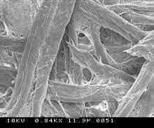 Under microscope stock vectors, clipart and illustrations. Filter Paper Wikiwand
