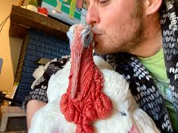 Book review: "Consider the Turkey" by Peter Singer