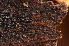 Let ions be bygones 3. Bispora Antennata