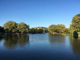 Music and lights guarantee fun loops around the ice with family or friends. Jarry Park Wikipedia