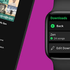 Press the download button, you can easily save all the spotify songs of the selected playlists. Spotify Finally Adds Offline Music Downloads On Apple Watch The Verge