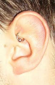 Infected Rook Piercing Symptoms Treating With Salt And H2ocean Aftercare Spray Ear Piercings Rook Stud Earrings Unique Rook Piercing Jewelry