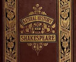 The Steps Of Life The Public Domain Review Antique Books Vintage Book Covers Book Cover Art