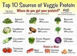 protein in vegetables vs meat chart google search in 2019