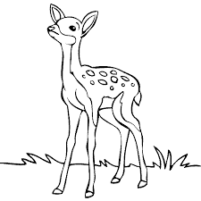You will be directed to another page. Buck Realistic Deer Coloring Pages Novocom Top