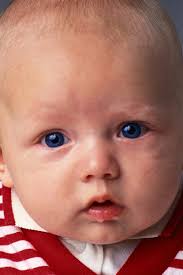 2005 Annual Report CAAN.pmd