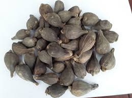 Image result for Aframomum corrorima