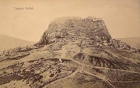 Image result for Sutera debilis