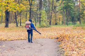 Leaf blower revolution is a free to play idle game where you blow away leaves with nuclear leaf blowers, unlock upgrades, earn achievements, and more. How To Use A Leaf Blower Steps Tips