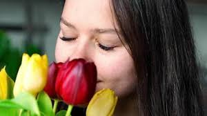 primavera tulipán flores en rosado antecedentes , de cerca con espacio para  pegar texto. internacional de la madre día. pegatina yo amor usted mamá,  Copiar espacio , neón magenta ligero 49625448 Vídeo