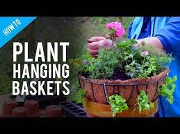 How To Create The Perfect Hanging Basket In Three Easy Steps Youtube Plants For Hanging Baskets Planting Flowers Hanging Baskets