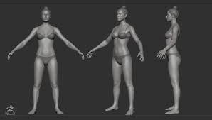 Pin On Anatomy For Art