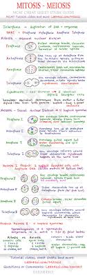 Mitosis And Meiosis Mcat Cheat Sheet Study Guide Learn What Happens In Each Step Prophase Metaphase Anaphase Tel Teaching Biology Biology Medical Studies