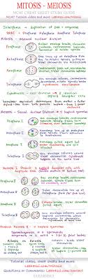 Cell division/mitosis/meiosis test study guide. Mitosis And Meiosis Mcat Cheat Sheet Study Guide Learn What Happens In Each Step Prophase Metaphase Anaphase Teaching Biology Biology Notes School Notes