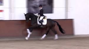 Jun 04, 2021 · dm balve: Neues Nachwuchspferd Fur Jessica Von Bredow Werndl