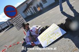 Bitte informieren sie sich vor dem. Pferdeversteigerung Maishofen Unfassbar Beschlagnahme Des Respektiere Demomaterials