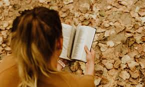 Image result for the more you know