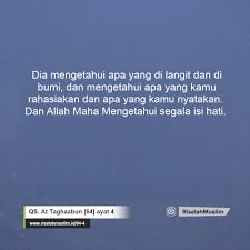 Gambar diatas menunjukkan salah satu ciptaan allah swt. Surah At Taghaabun Ayat 4 Qs 64 4 Tafsir Alquran Surah Nomor 64 Ayat 4