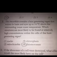 Both also contain similar membranes, cytosol. What Is The Function Of Mitochondria In Cells Brainly