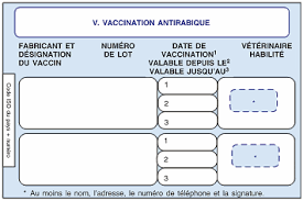 Réclamé par le monde économique, décrié par certains comme une atteinte aux libertés, l'idée d'un « passeport vaccinal » ressurgit, même si beaucoup de scientifiques le jugent. Anivetvoyage Passeport Europeen