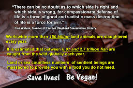 Slogans And Quotes Paul Watson There Can Be No Doubt As To Which Side Is Right Slogan Life Save Life